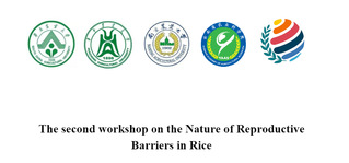 The second workshop on the Nature of Reproductive Barriers i...